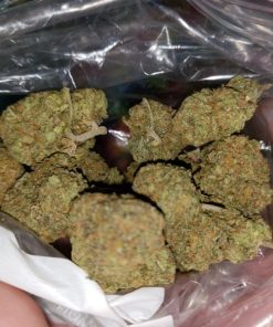 Buy Oreoz Cannabis Strain