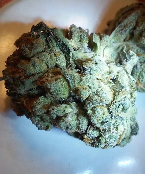 Trump OG Cannabis Strain