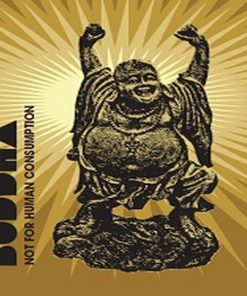 Buy Funky Buddha Herbal Incense